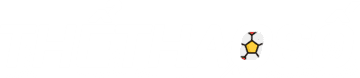 Điện tử RSG